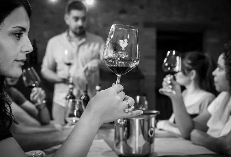 Vinicola Le Fonti na Toscana - La Vignola