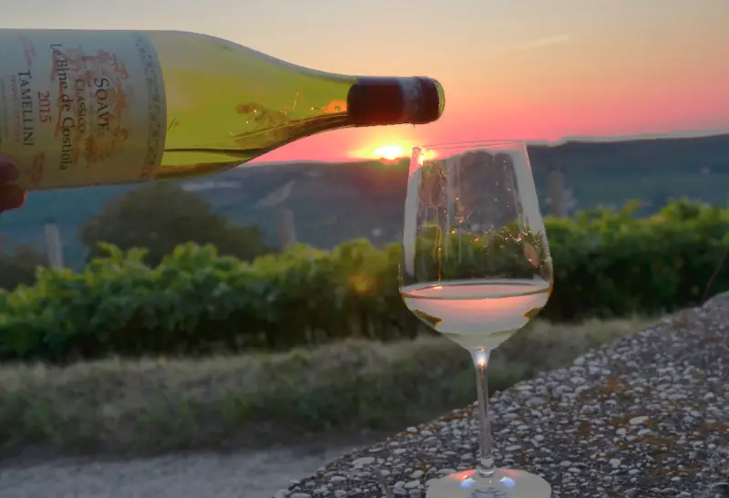 Vinicola Tamellini Veneto Soave - La Vignola