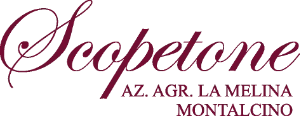 Logo La Melina Scopetone Vinicola